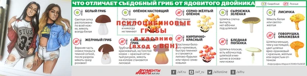 молекула духа Дмитров