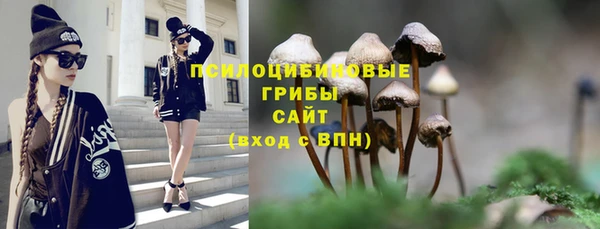 молекула духа Дмитров