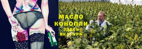 молекула духа Дмитров
