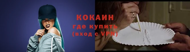 молекула духа Дмитров