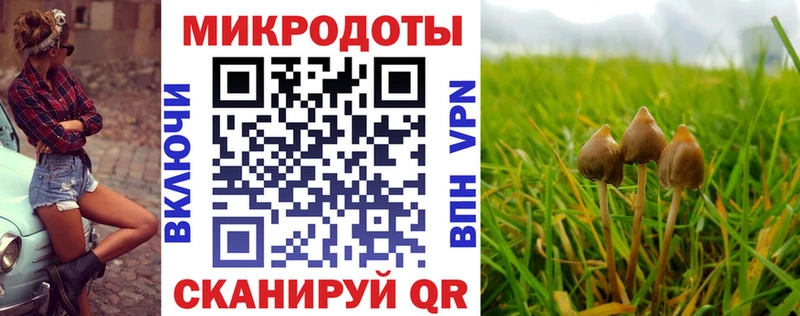 Купить где  Полевской  Галлюциногенные грибы MAGIC MUSHROOMS 